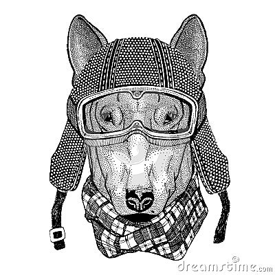 DOG for t-shirt design wearing vintage motorcycle helmet Tattoo, badge, emblem, logo, patch, t-shirt Stock Photo