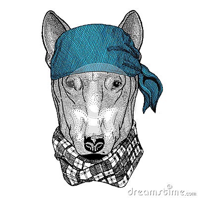 DOG for t-shirt design Wild animal wearing bandana or kerchief or bandanna Image for Pirate Seaman Sailor Biker Stock Photo