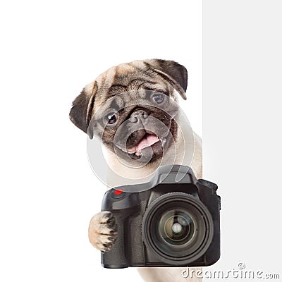 Dog taking a picture behind a placard. isolated on white background Stock Photo