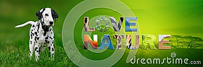 Dog with text Love Nature Stock Photo