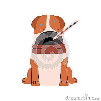 Dog with thermometers in his mouth and high temperature. Animal with symptom of fever, virus. Vector illustration in flat style Vector Illustration