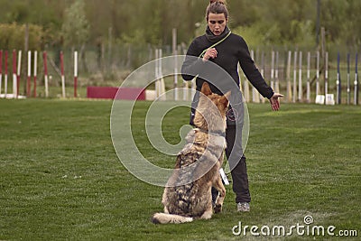 Dog trainer #2 Editorial Stock Photo