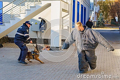 Dog training. Police dog bloodhound. Sheepdog in the service of the state. Beltsy Moldova November 25, 2021 Editorial Stock Photo