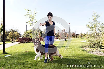 Dog Training Professional Handler Relationship Outdoor Park Practice Teaching Australian shepherd Outdoor Stock Photo