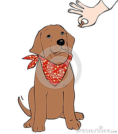 Dog training Vector Illustration