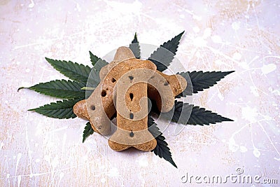 Dog treat and cannabis leaves - medical marijuana for pets concept Stock Photo