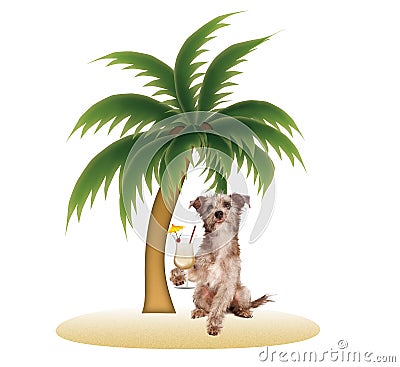 Dog on Tropical Island with Pina Colada Stock Photo