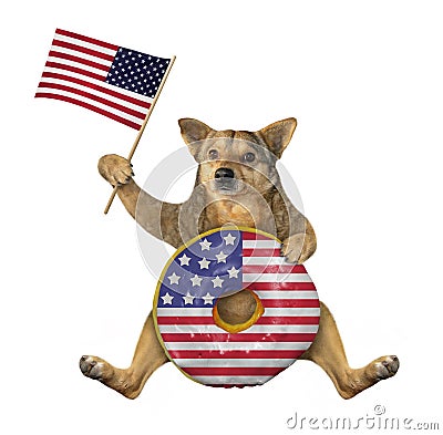 Dog with usa donut and flag Stock Photo