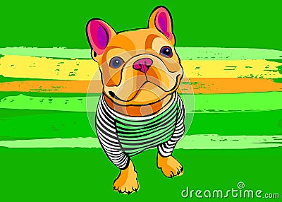 Dog vector breed cute pet animal bulldog french Vector Illustration