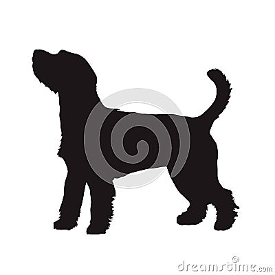 Dog vector silhouette, Parson Russell Terrier. Side view Vector Illustration