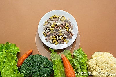 Dog vegetarian dry crunchies on plate and vegetables on beige background with copy space Stock Photo