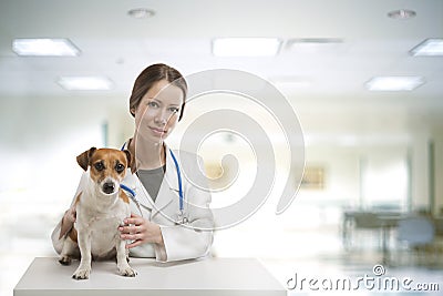 Dog vet clinic Stock Photo