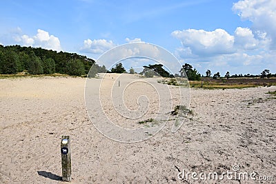 Dog exhaust area, signposted by wooden posts with image Stock Photo