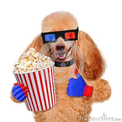 Dog watching a movie Stock Photo