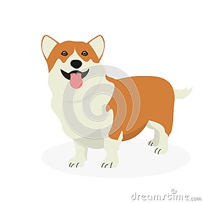 Dog Welsh Corgi isolated on white background Vector Illustration