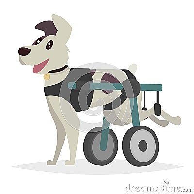 Dog in a wheelchair for the hind paws. Vector illustration in a Cartoon Illustration