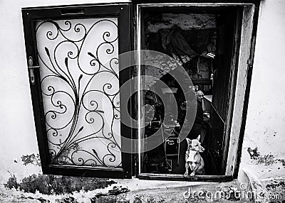 Dog at the window looking outside Editorial Stock Photo
