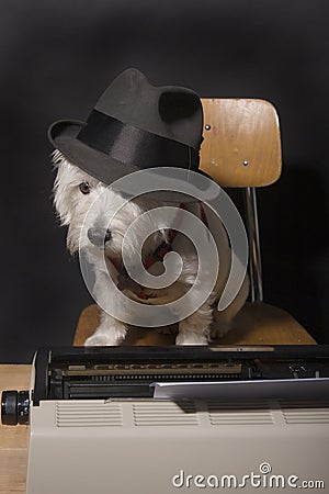 Doggone deadlines Stock Photo