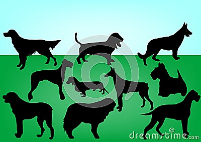 Dogs Cartoon Illustration
