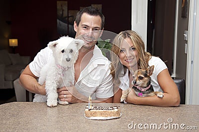 Dogs with birthday cake Stock Photo