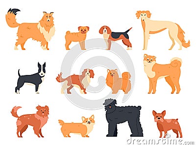 Dogs breed character. Purebred dog pedigree, cute puppy pug, beagle, welsh corgi and bull terrier, funny domestic pets Vector Illustration