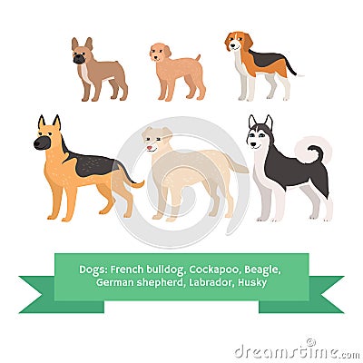 Dogs breed set with french bulldog cockapoo beagle german shepherd labrador husky. Isolated vector illustration Vector Illustration