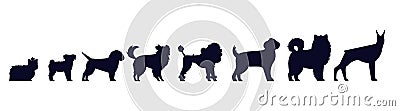 Dogs breed silhouettes. Pedigree puppies as doberman and malamute, Labrador and poodle, shepherd Vector Illustration