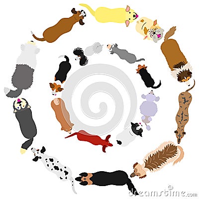 Dogs breed top view circle set Vector Illustration