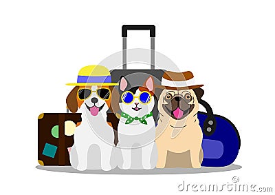 Dogs and cat group going to travel Vector Illustration