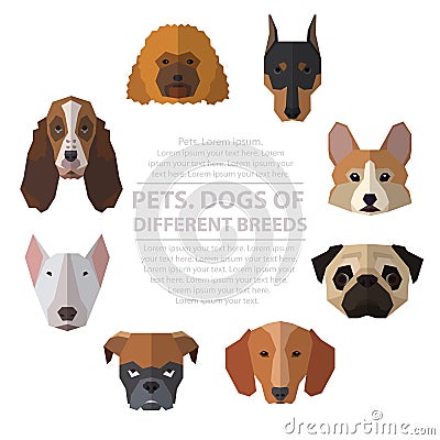 Dogs heads of different breeds. Vector Illustration