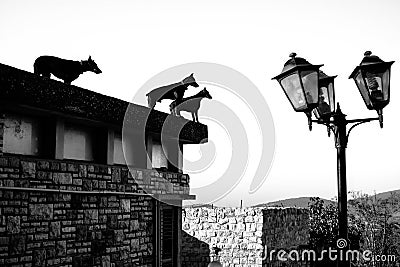 Dogs and Lights Stock Photo