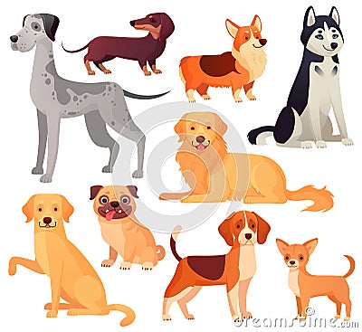 Dogs pets character. Labrador dog, golden retriever and husky. Cartoon vector isolated illustration set Vector Illustration