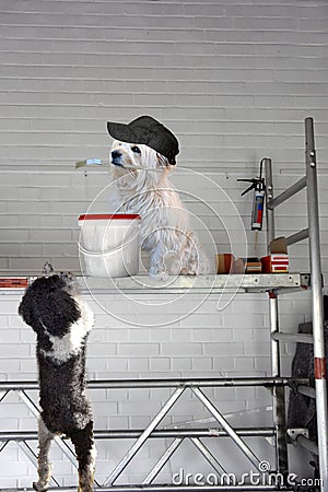 Craftsman dogs at work. They paint a wall Stock Photo