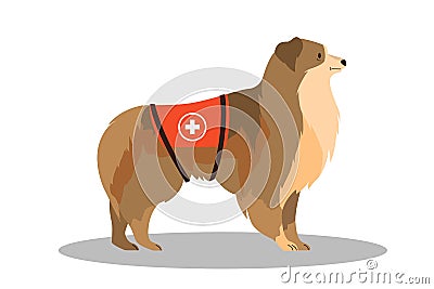 Dogs rescuer, Collie. Cadaver dog for finding people. Vector Illustration
