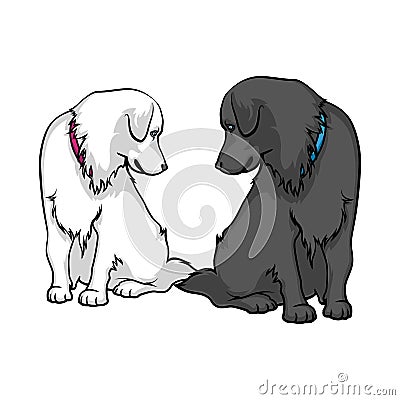 Dogs are sad. Two lovely labradors looking at each other Vector Illustration