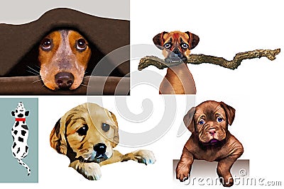 Dogs are seen in illustrations that can be used Cartoon Illustration