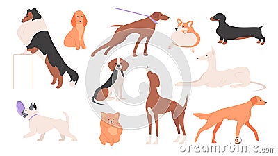 Dogs set, happy cute dogs of different breeds collection, group of small and big animals Vector Illustration