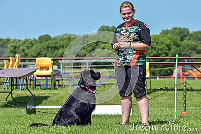 Dogs show Editorial Stock Photo