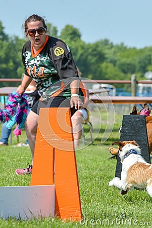 Dogs show Editorial Stock Photo