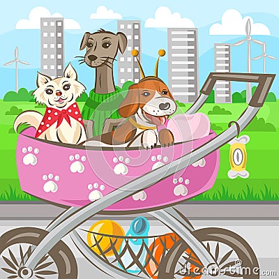 Three home dogs in stroller during walking in park - vector illustration Vector Illustration