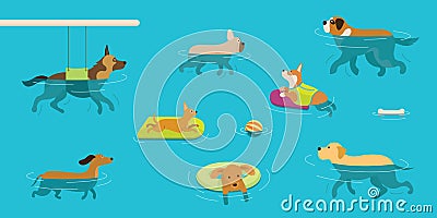 Dogs Swimming in Water or Pool Vector Illustration