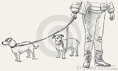 Dogs on a walk Vector Illustration