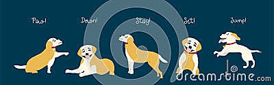 The dogs will follow the commands. Training of dogs and puppies. Trendy illustration for animal trainers Vector Illustration