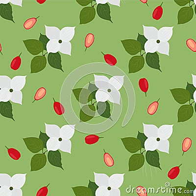 Dogwood berry. Fresh and healthy food. Vector Illustration
