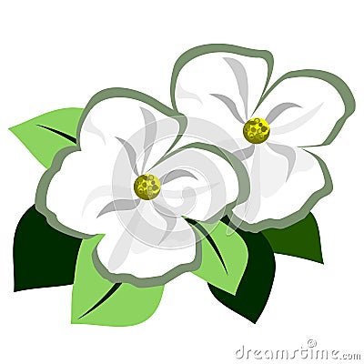 Dogwood Flower Accent Vector Illustration