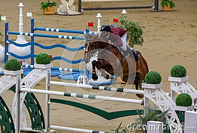 Doha, Qatar- 11 January 2020: background image with Horse jump in Doha,Qatar Editorial Stock Photo