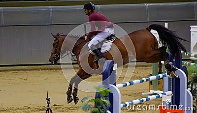 Doha, Qatar- 11 January 2020: background image with Horse jump in Doha,Qatar Editorial Stock Photo