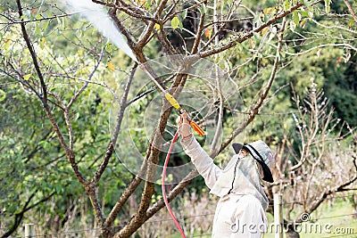 At Doi Ang Khang Chaing Mai Unidentified gardener spraying an insecticidefertilizer to his plant Stock Photo