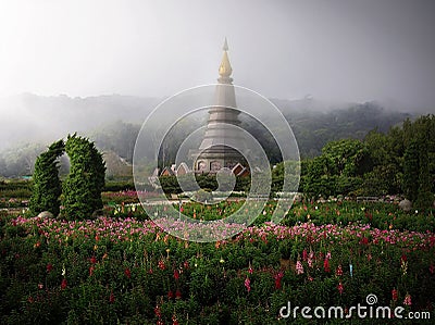 Doi Inthanon Stock Photo