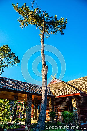 Doi Pha Tang Palace with Beautiful Park at Doi Inthanon National Park Stock Photo